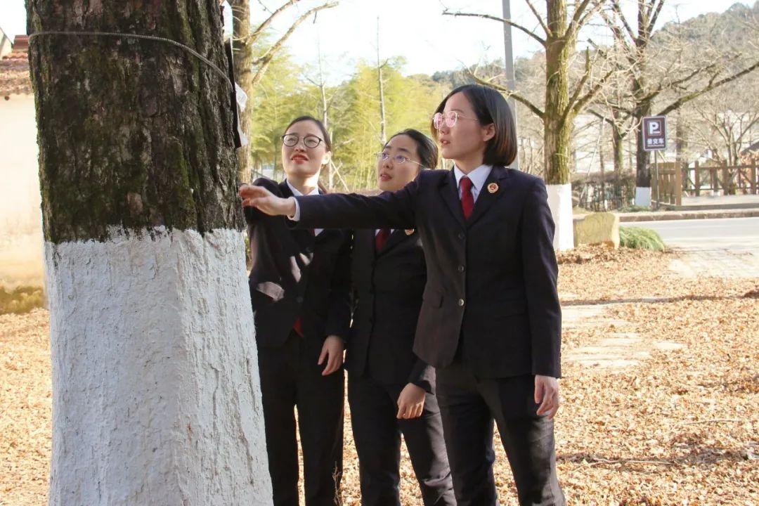 高质效履行法律监督职责“浙”里看见美丽中国麻将胡了电子游戏深入学习贯彻习法治思想(图3)