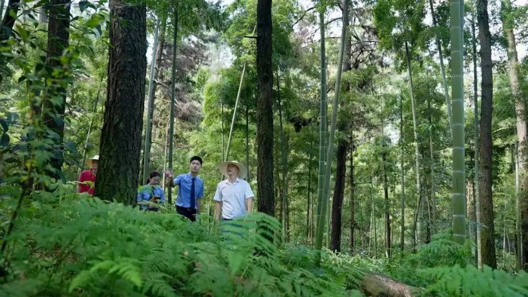 高质效履行法律监督职责“浙”里看见美丽中国麻将胡了电子游戏深入学习贯彻习法治思想(图4)