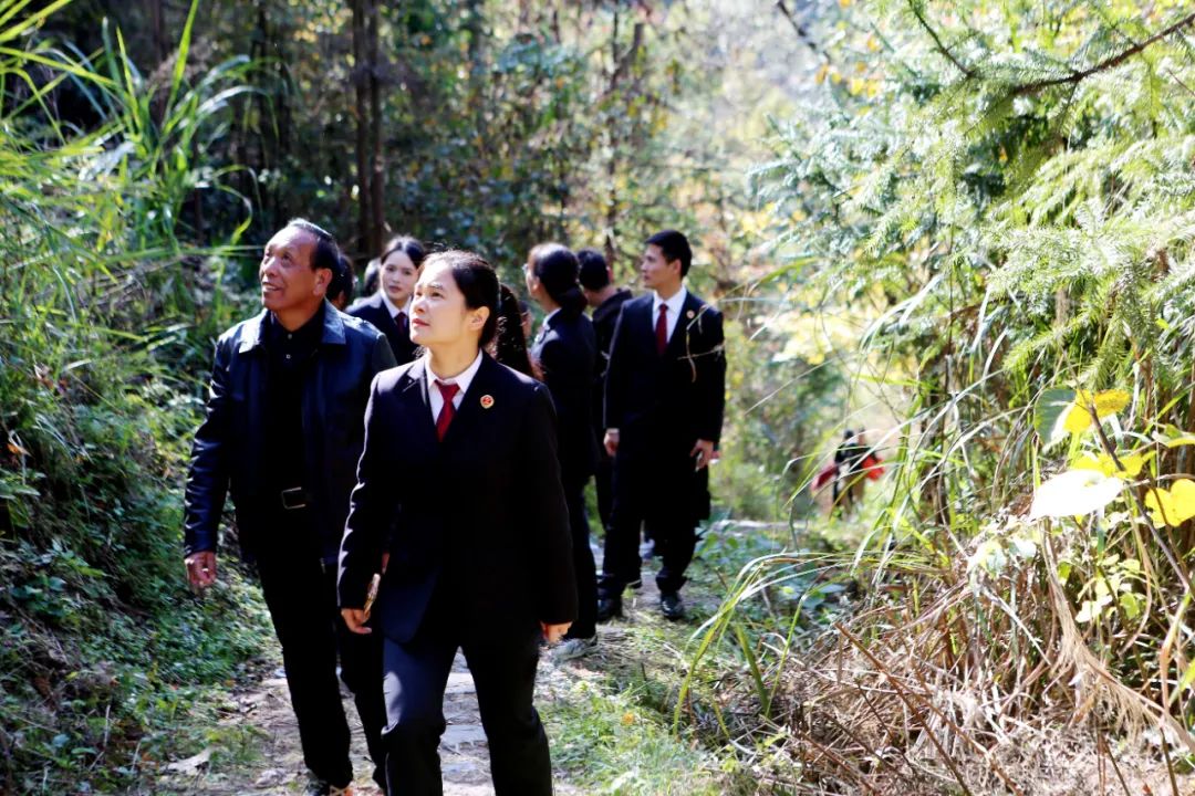 高质效履行法律监督职责“浙”里看见美丽中国麻将胡了电子游戏深入学习贯彻习法治思想(图6)