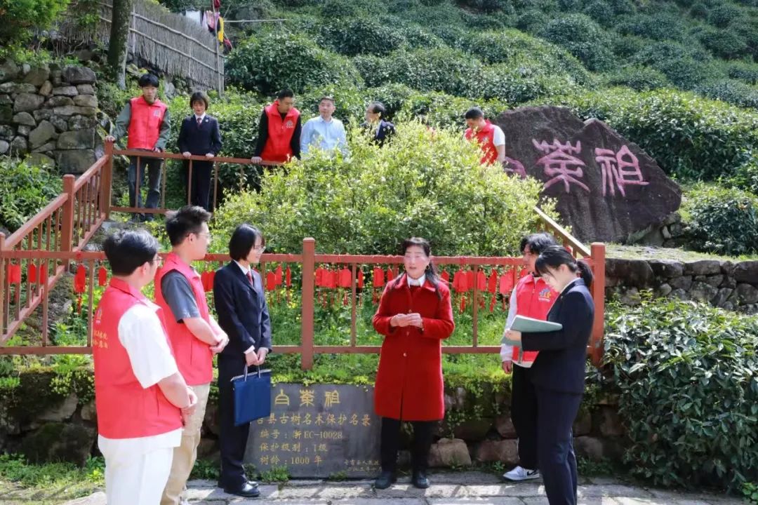 高质效履行法律监督职责“浙”里看见美丽中国麻将胡了电子游戏深入学习贯彻习法治思想(图5)