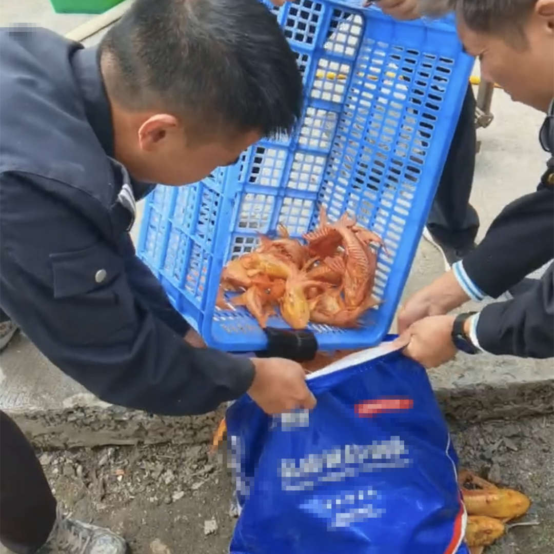 高质效履行法律监督职责“浙”里看见美丽中国麻将胡了电子游戏深入学习贯彻习法治思想(图7)