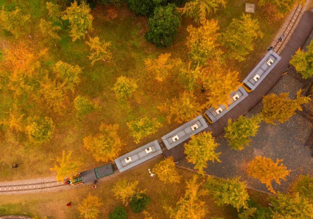 高质效履行法律监督职责“浙”里看见美丽中国麻将胡了电子游戏深入学习贯彻习法治思想(图10)
