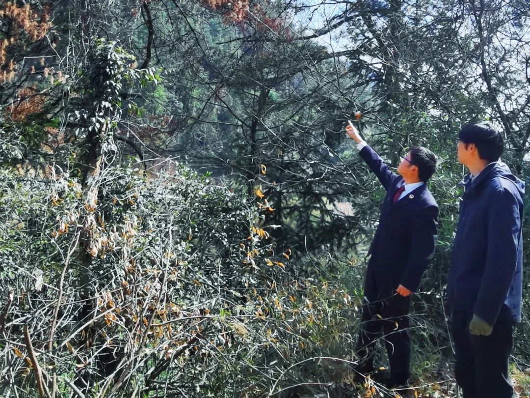 高质效履行法律监督职责“浙”里看见美丽中国麻将胡了电子游戏深入学习贯彻习法治思想(图12)